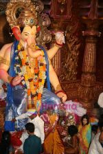 Amrita Rao seeks blessings from Lalbaug Ka Raja Ganpati on 30th Aug 2009 (7).jpg